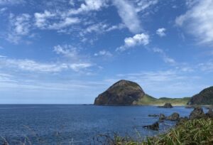 海　アトピー性皮膚炎